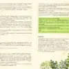 Hermite 40% 0,7l – Bild 3