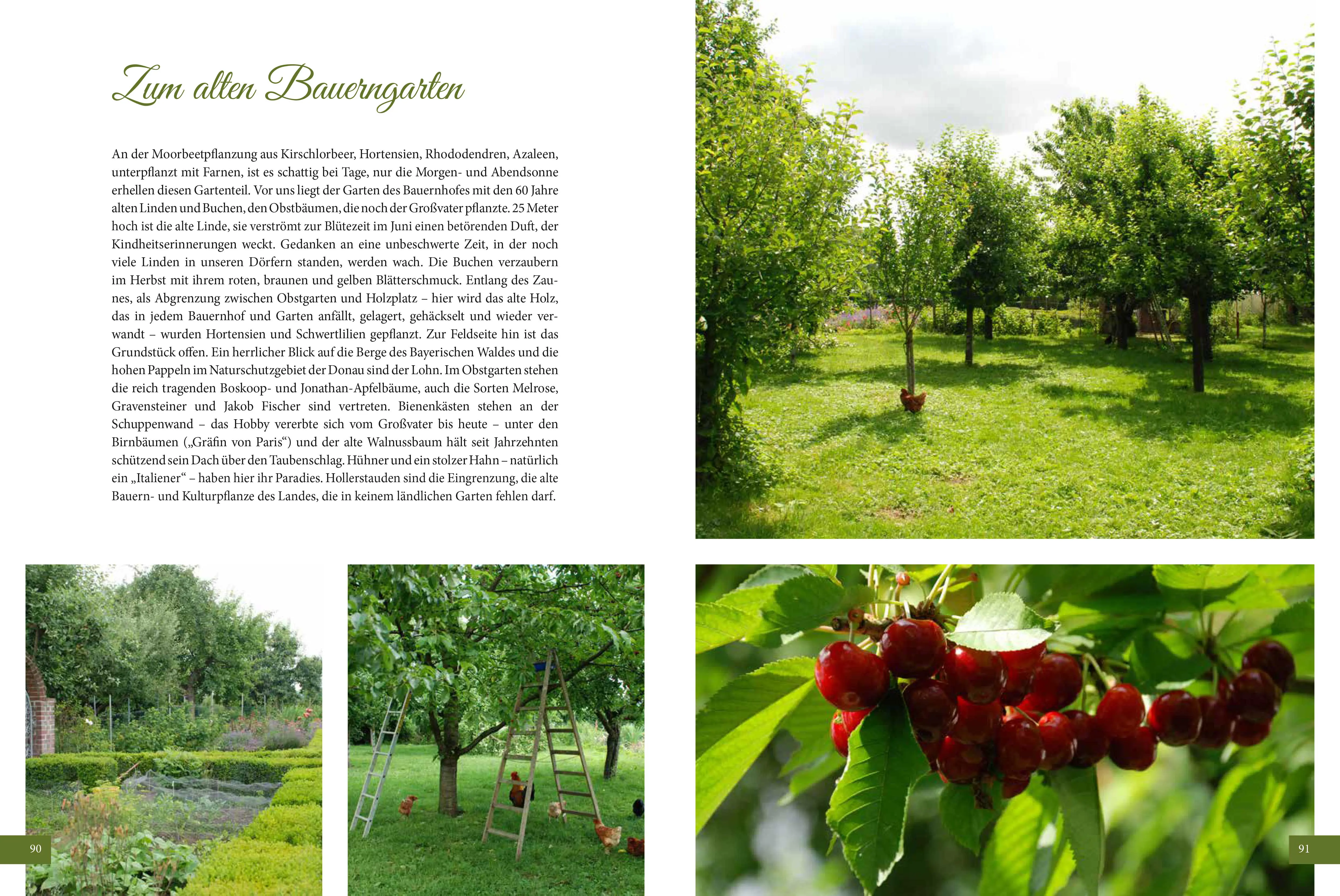 Wo Licht auf Erde trifft - Ein Traumgarten - Das Buch – Bild 4