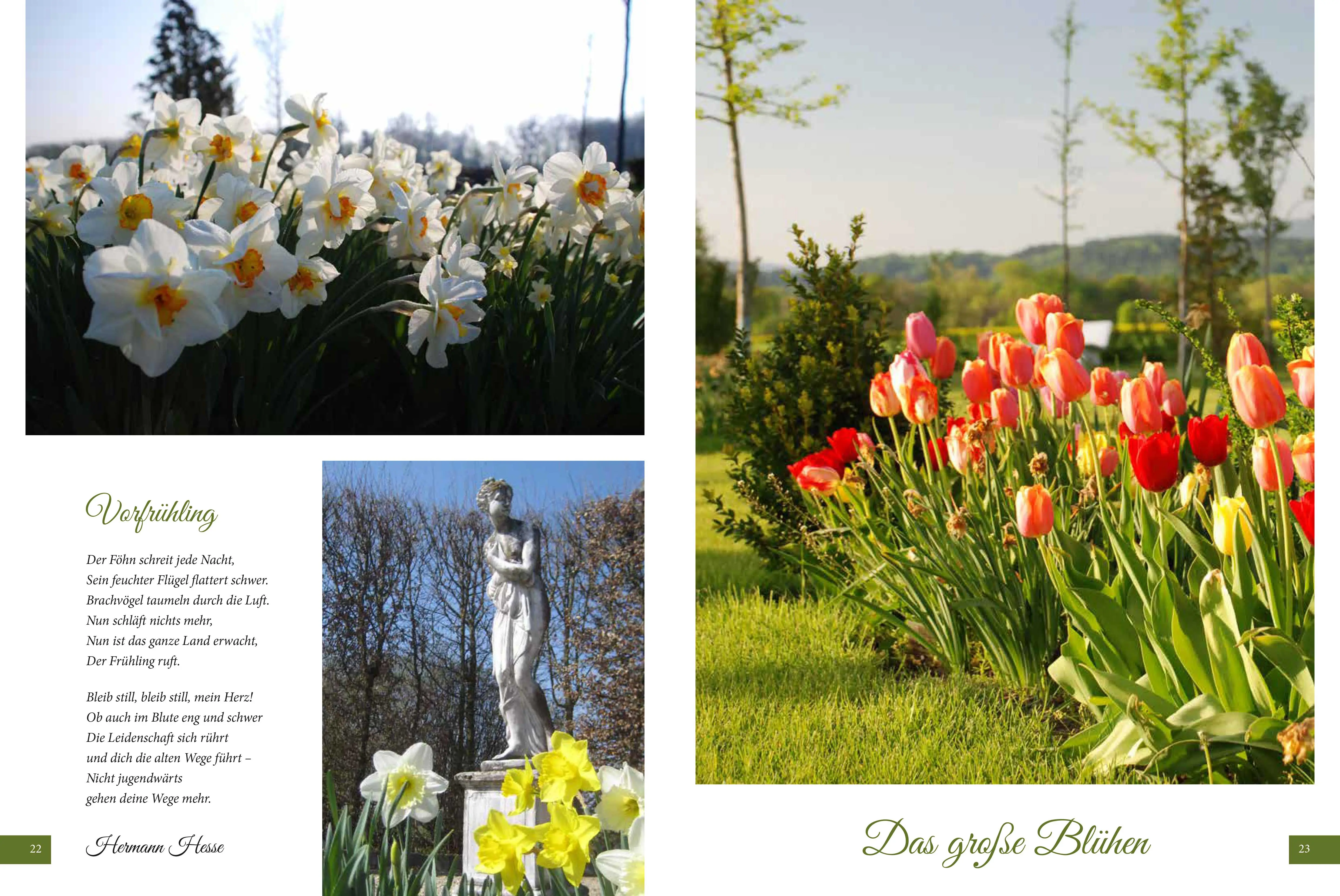 Wo Licht auf Erde trifft - Ein Traumgarten - Das Buch – Bild 2