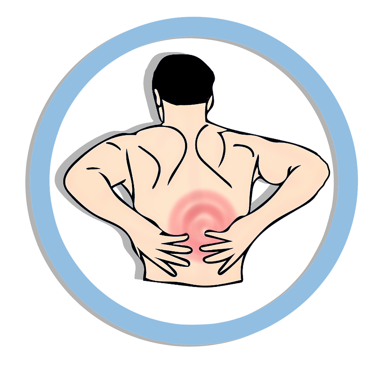 Dr. Jacoby`s original Pferdesalbe 300ml – Bild 2